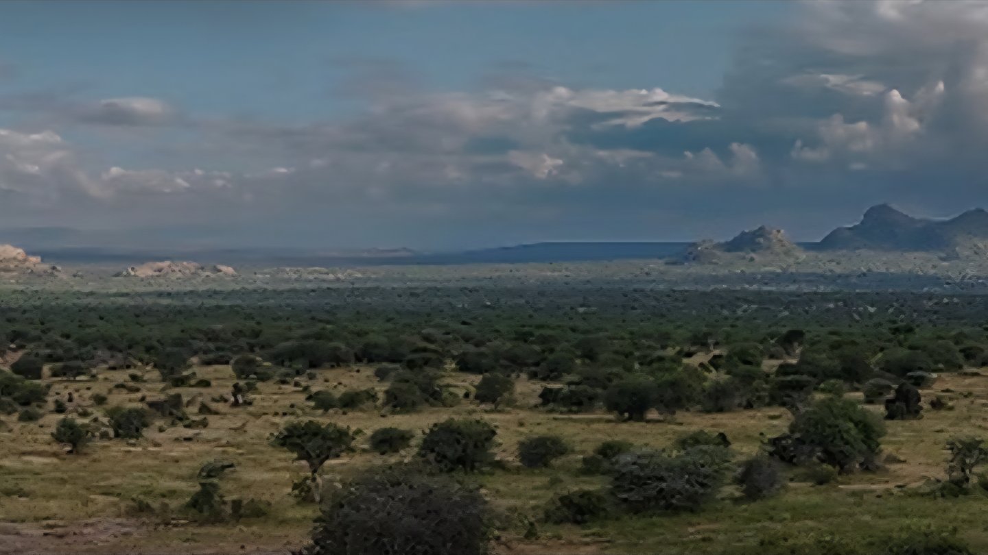 A wide landscape view of the dry shrubland and hills in Laikipia County under a cloudy sky.