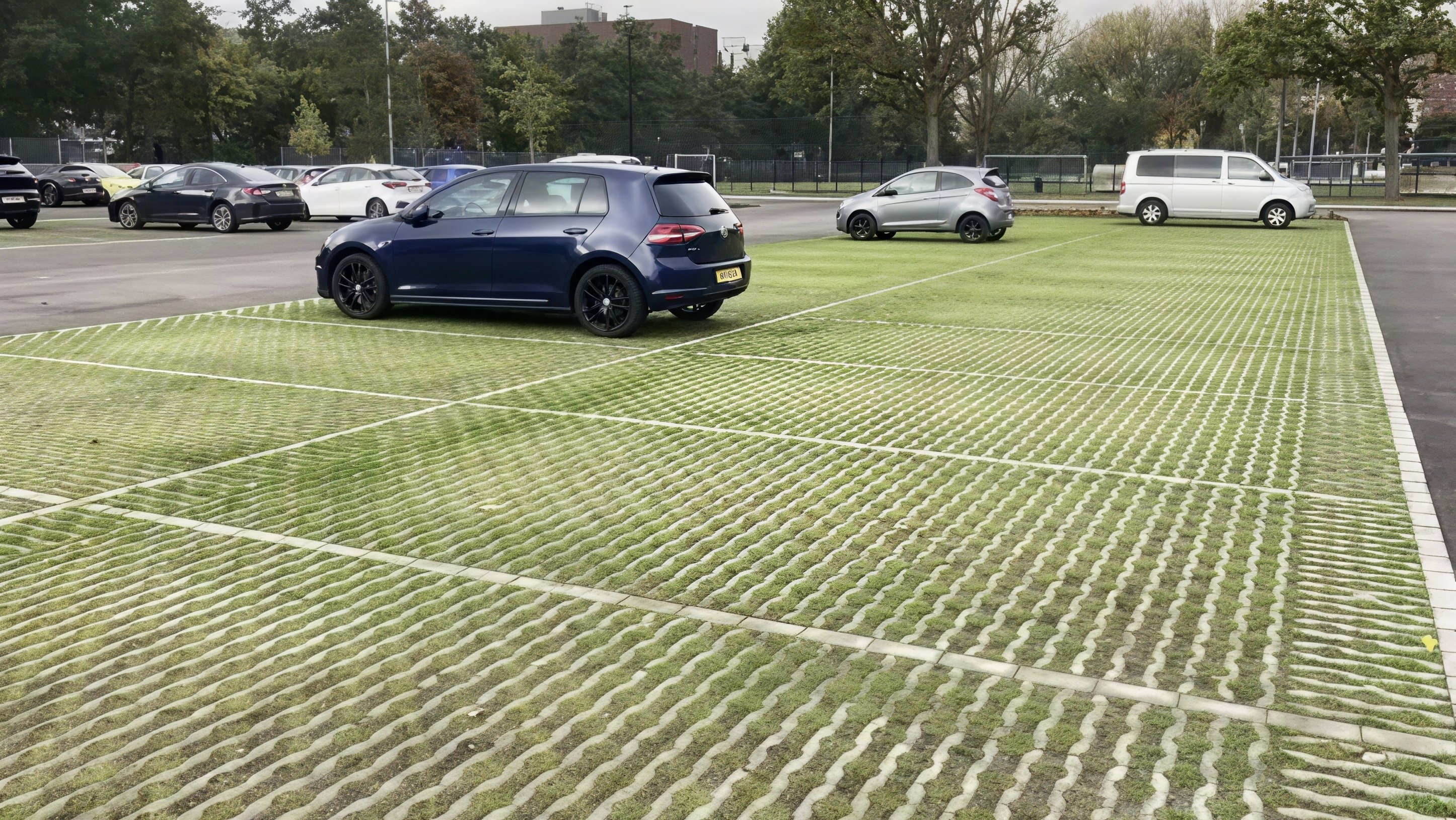 Dutch Cities Swap Concrete For Grass-Filled Paving To Beat Heat And Floods