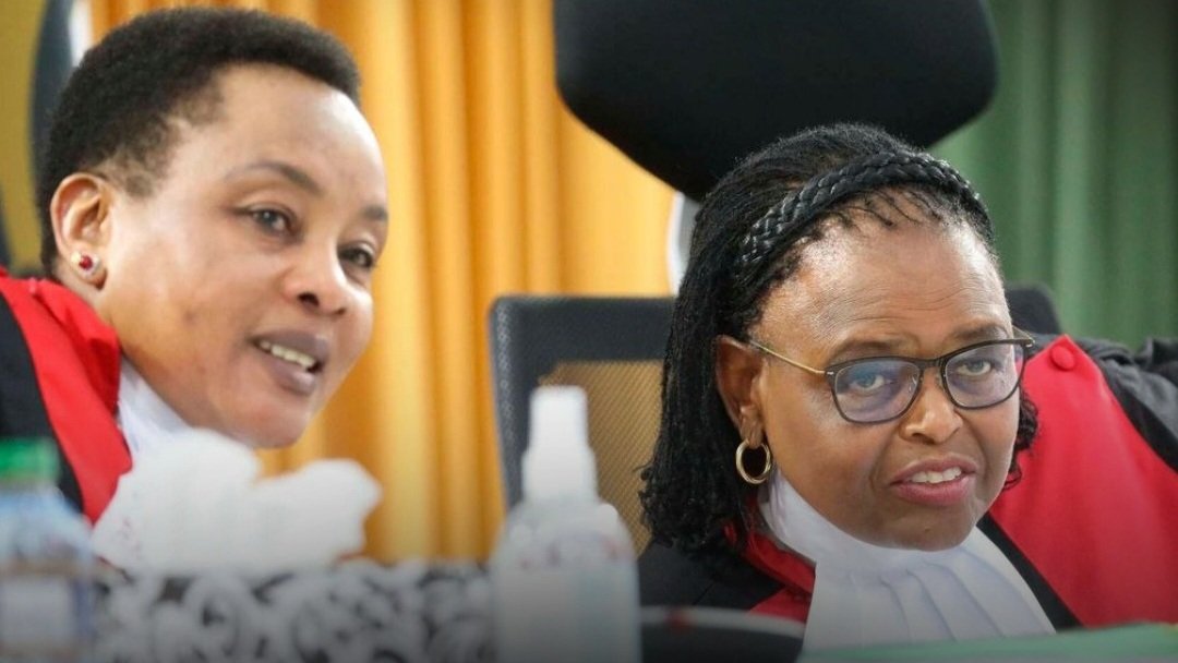 Judiciary to introduce AI policy amid concerns of bot-generated filings