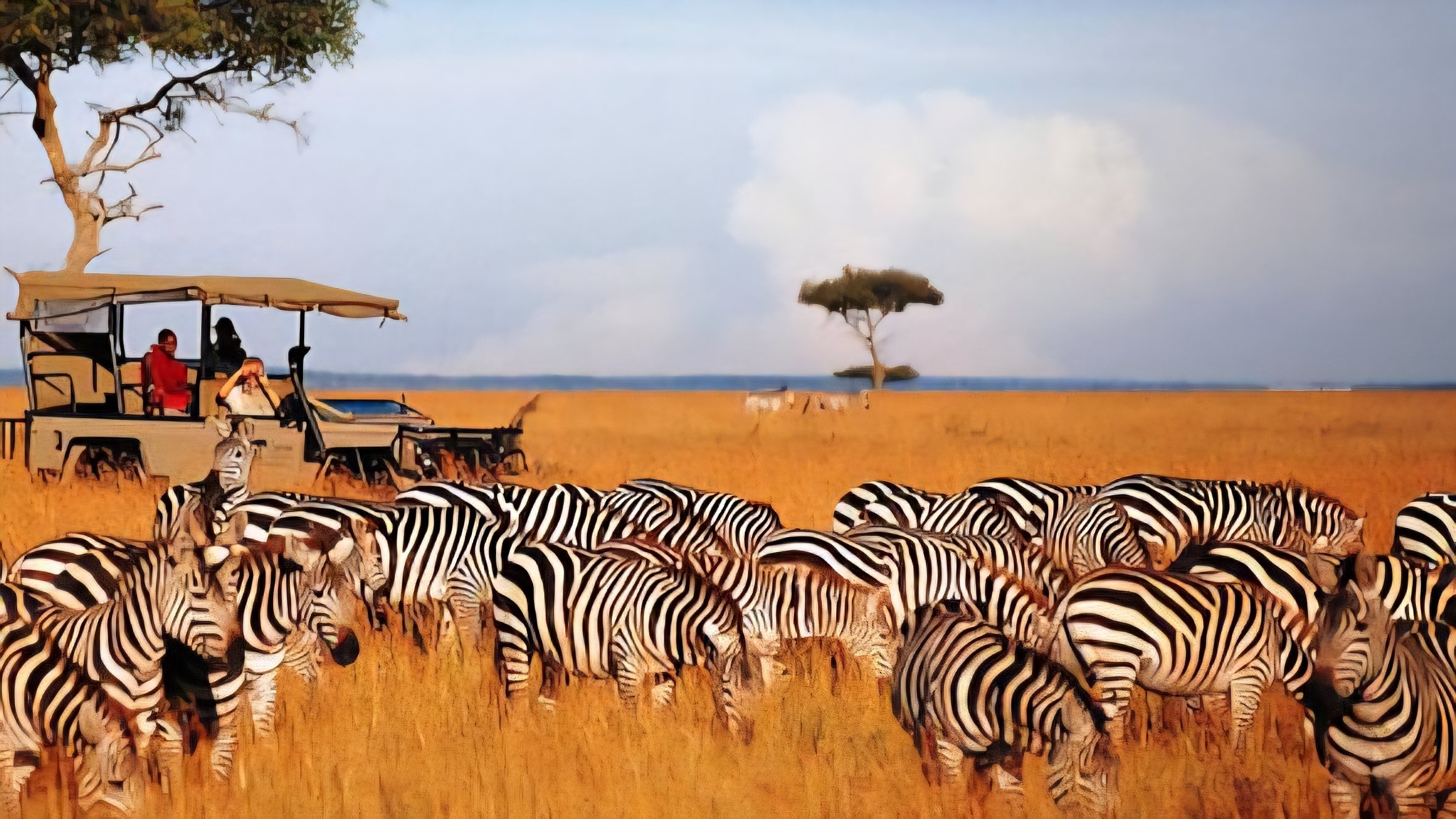 Lawsuit Seeks to Halt Maasai Mara Luxury Tourism Construction