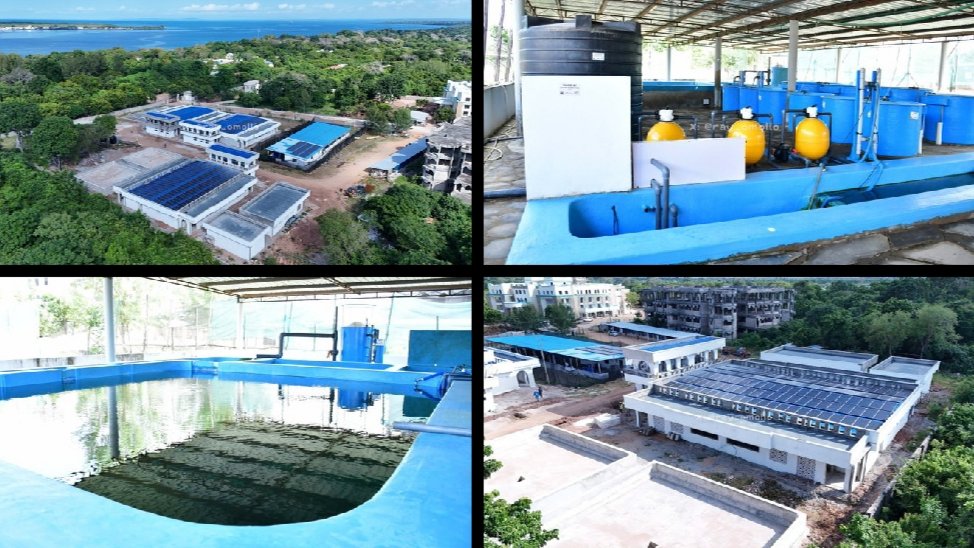 Government Scales Up Prawn Fingerling Production to Boost Coastal Aquaculture