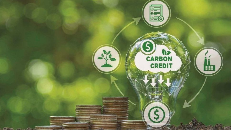 Kenya Caps Carbon Credit Exports at 10 Million Tonnes to Protect Climate Targets