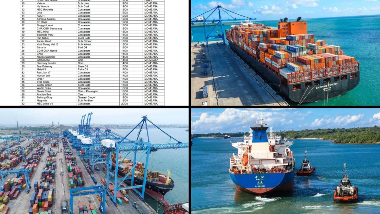 Container ship loaded with colorful freight boxes docked at a deepwater port terminal with ship-to-shore cranes.