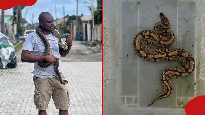 Mark Ofua, founder of Saint Mark's Animal Hospital in Lagos and snake expert, who shared four signs that snakes could be present in a home without the owner's knowledge, as reported in a February 2026 article.