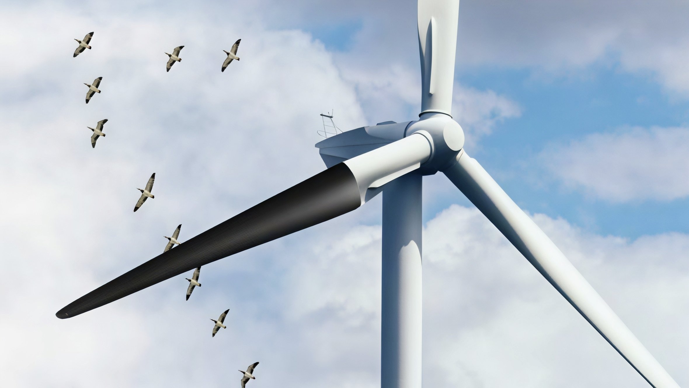 Painting One Wind Turbine Blade Black Cuts Bird Deaths By 70 Percent