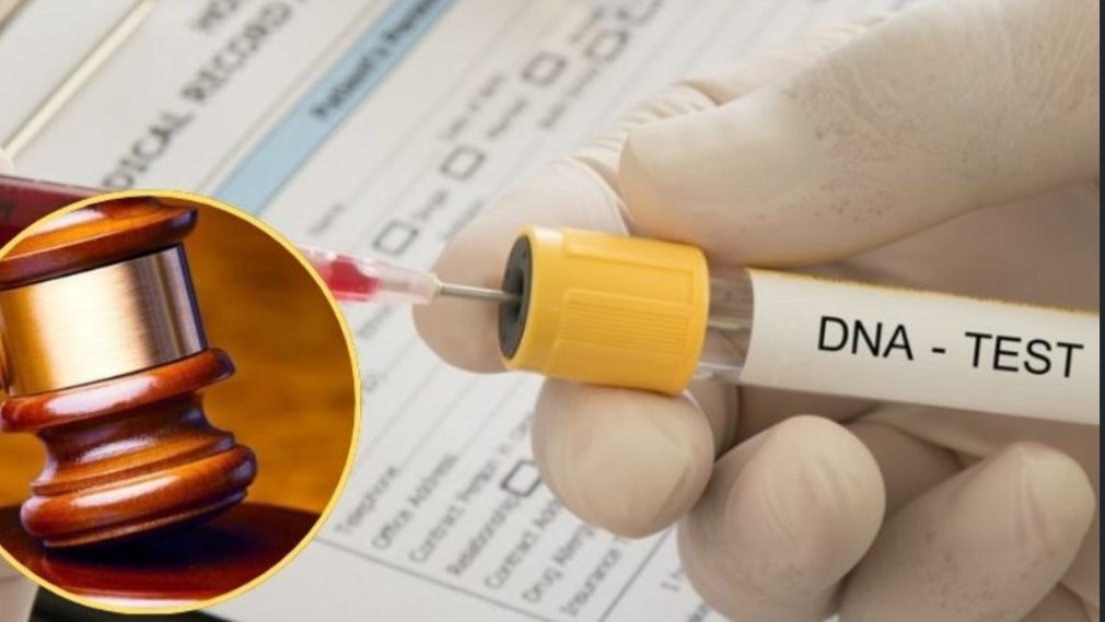 Close-up shot of a legal gavel resting beside a medical document and a DNA testing kit vial on a wooden table.
