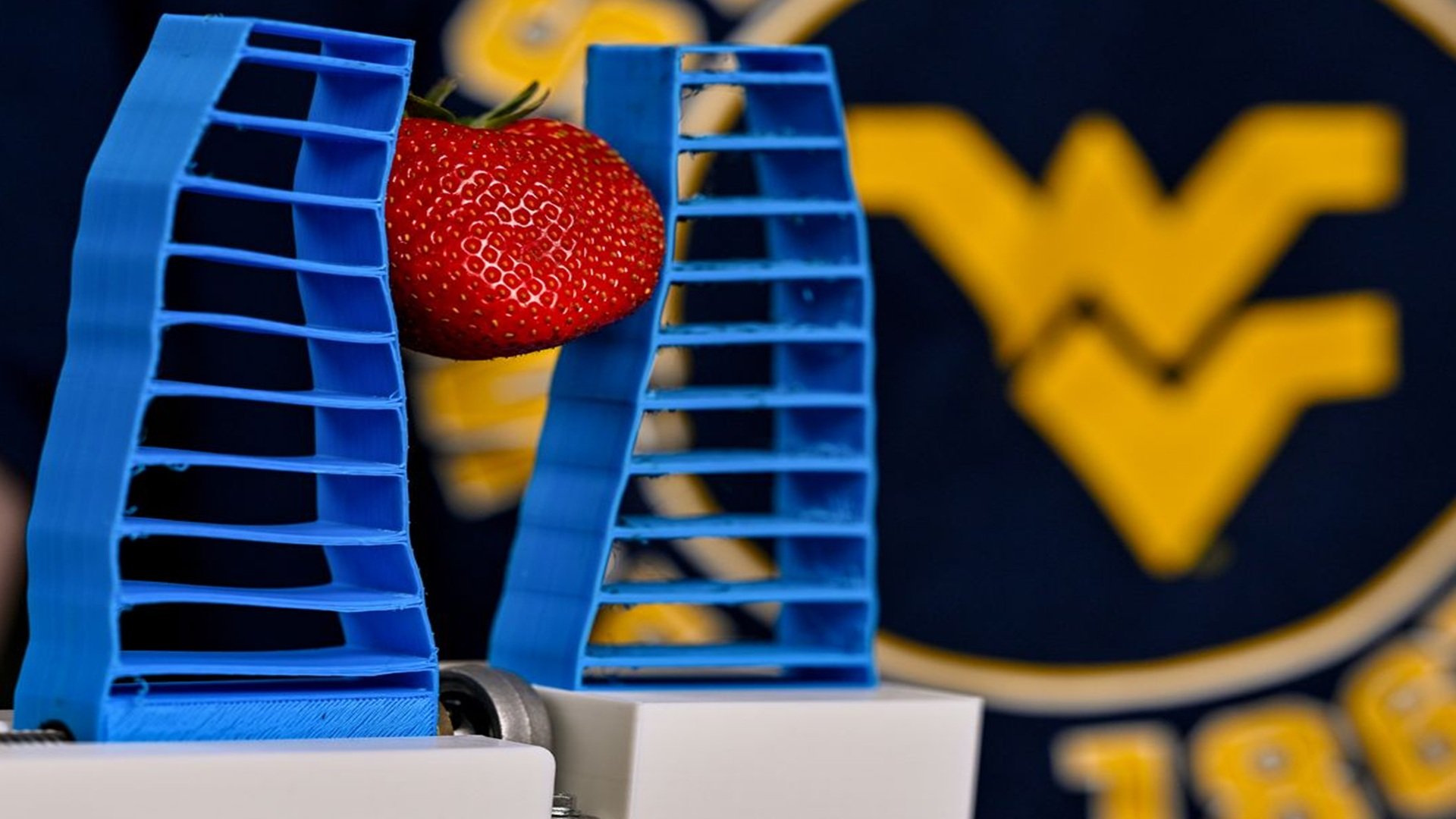 A close-up view of the file named 249071.png showing a blue, 3D-printed soft robotic gripper holding a fresh strawberry.