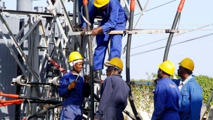 Kenya Power Launches Major Drive to Protect Wildlife from Electrocution