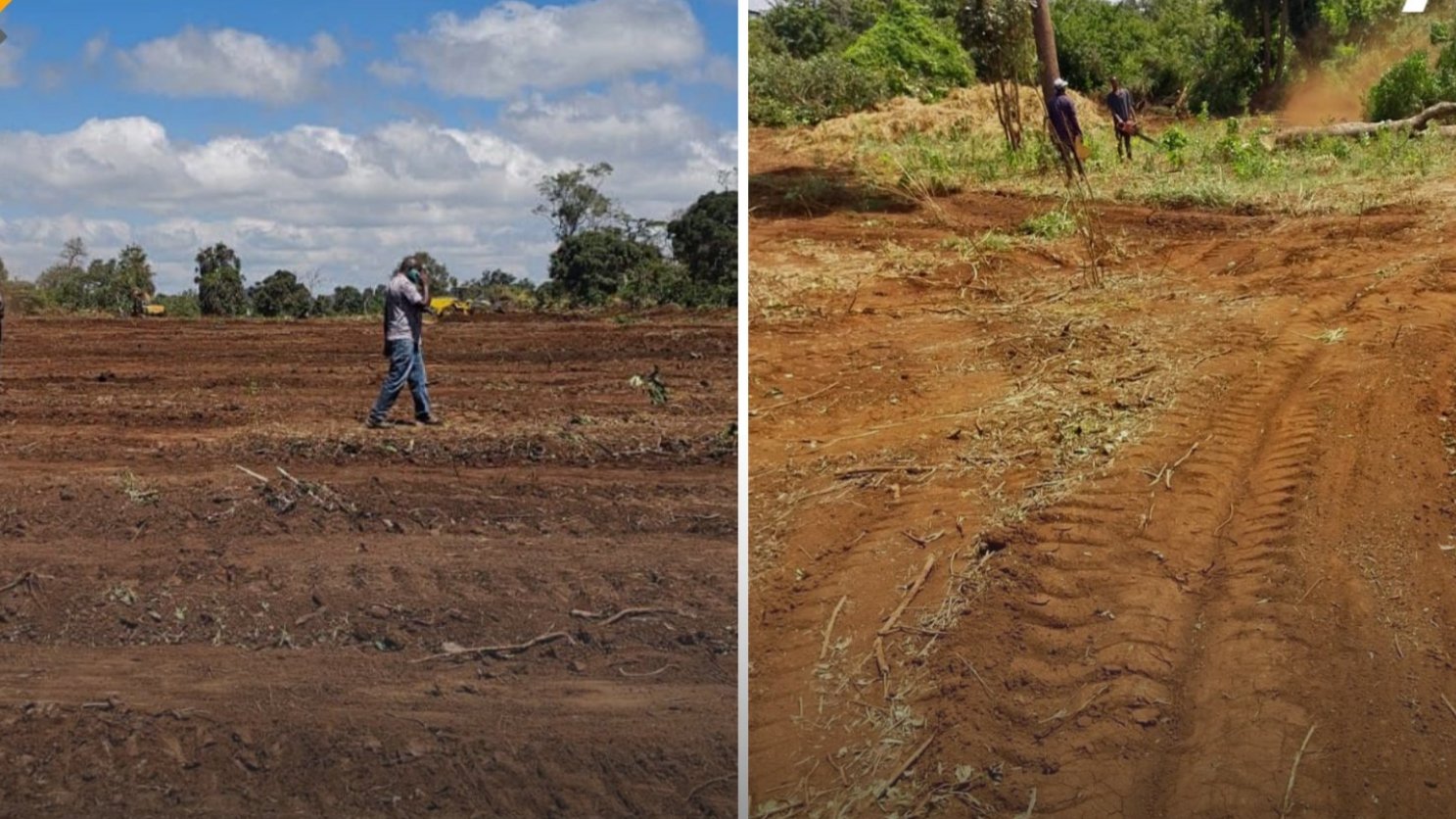 High Court Halts Construction of New State House Lodge and Airstrip in Meru Forest