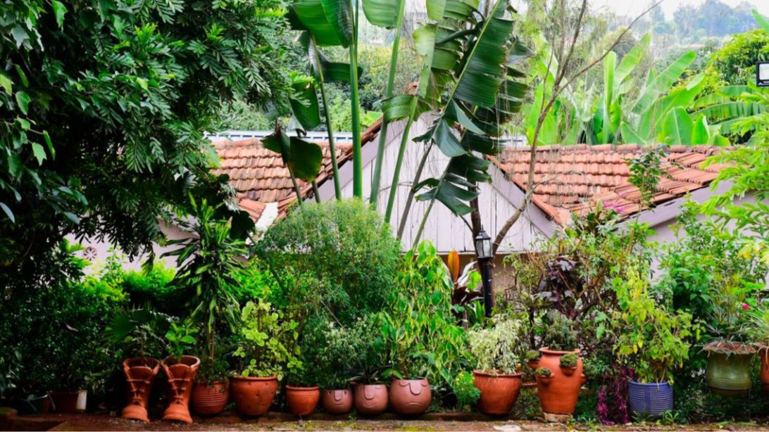 Inside Garden of 2,000 Plants Built Room by Room by Kenyan Homeowner
