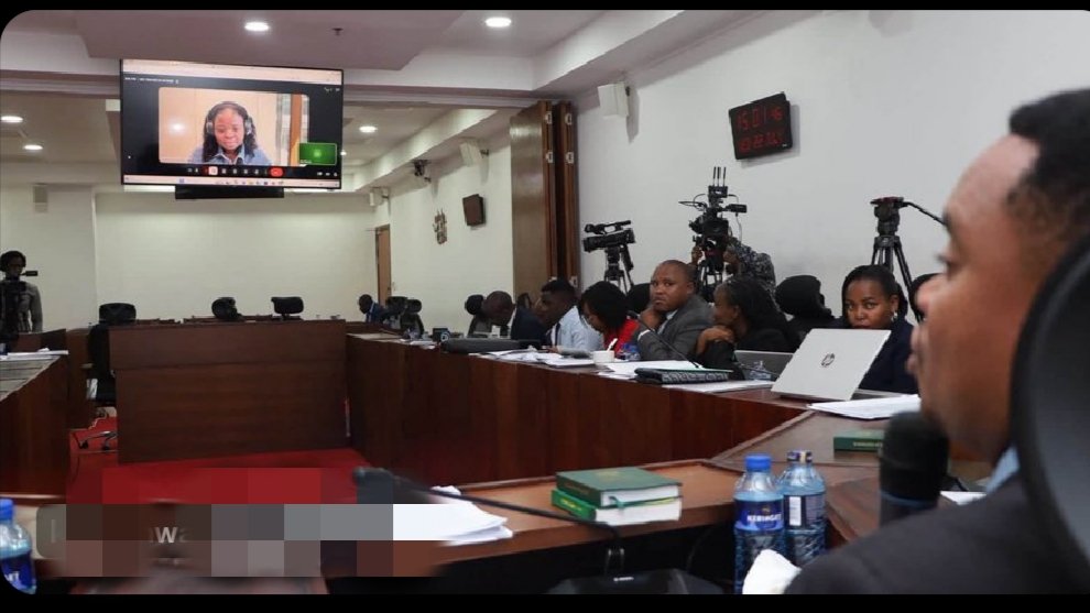Legal Expert Warns Parliament Against Rushing Imported Digital Competition Rules
