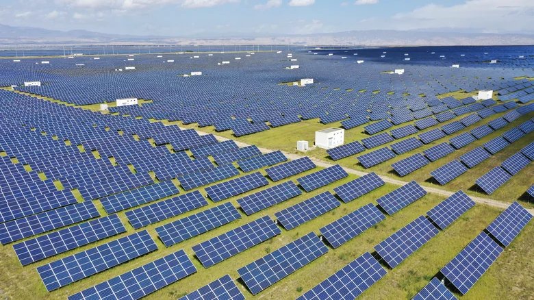 Solar farm alters Tibetan Plateau environment forcing operators to recruit sheep