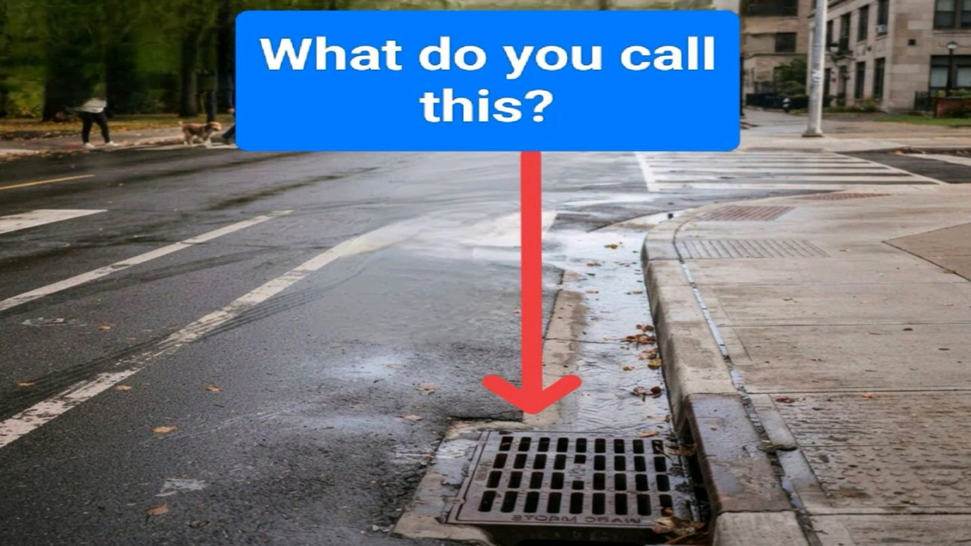 Understanding Urban Storm Drain Systems and Roadside Drainage Infrastructure