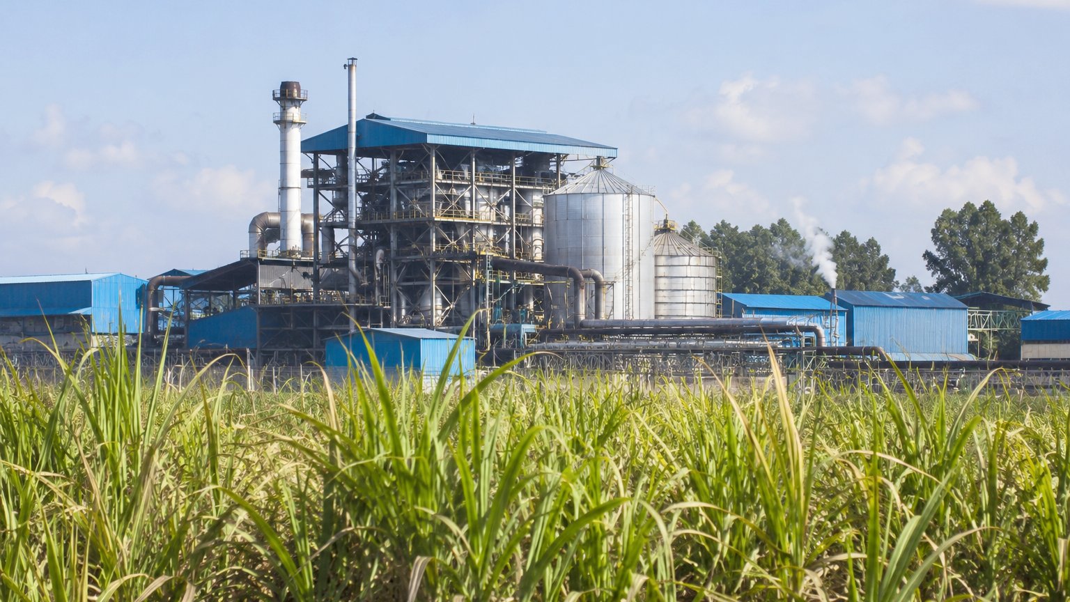 Investors Plan New Sh1.46 Billion Sugar Factory In Siaya