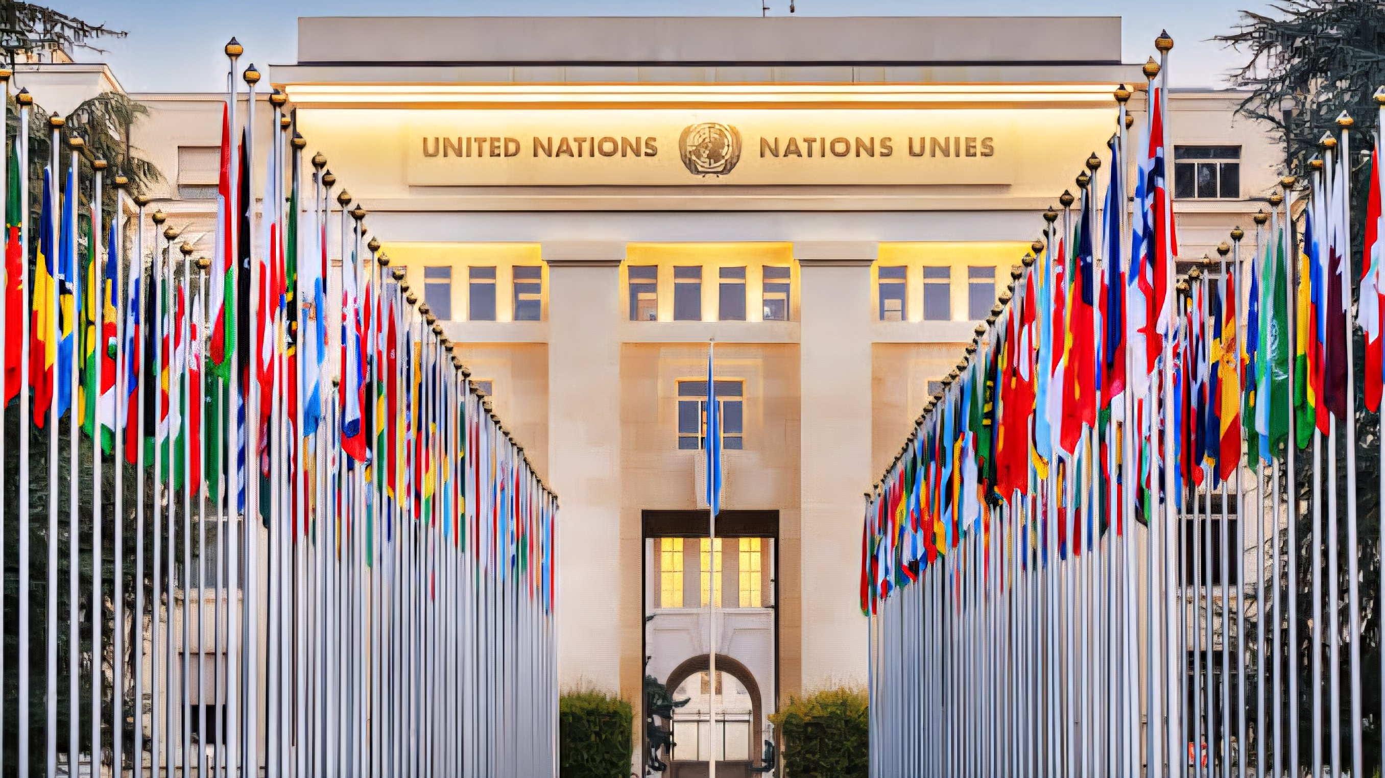 Wanjira Mathai Urges Global Governance Overhaul at UN Headquarters
