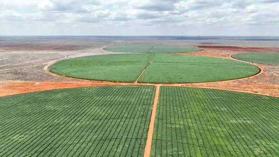 Aerial view of center pivot irrigation systems and water reservoirs at the Galana Kulalu Food Security Project in Kenya.