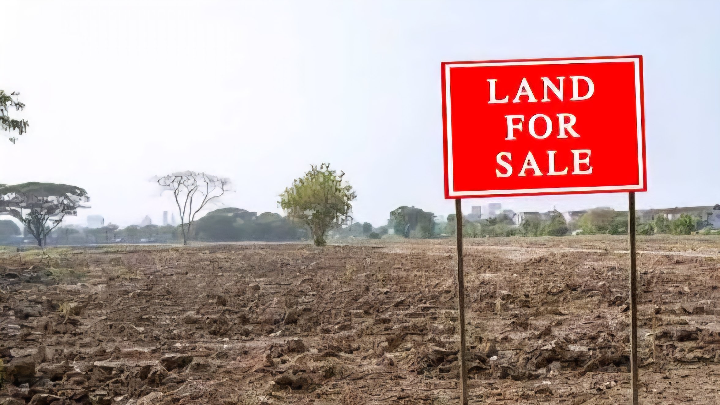 A wide view of a cleared land site in Ruiru, Kiambu, with a red "Land for Sale" sign in the foreground.