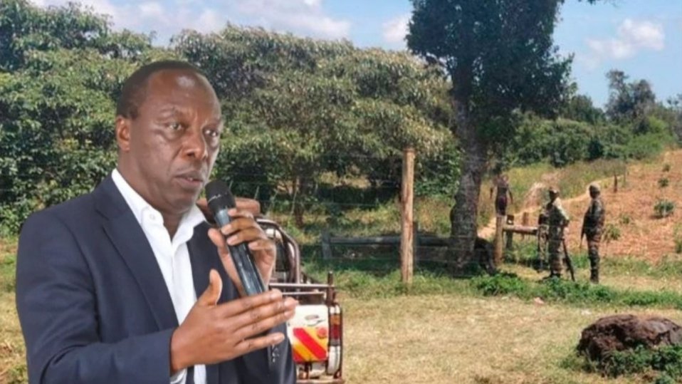 Forestry PS: We Cannot Halt Development for Conservation