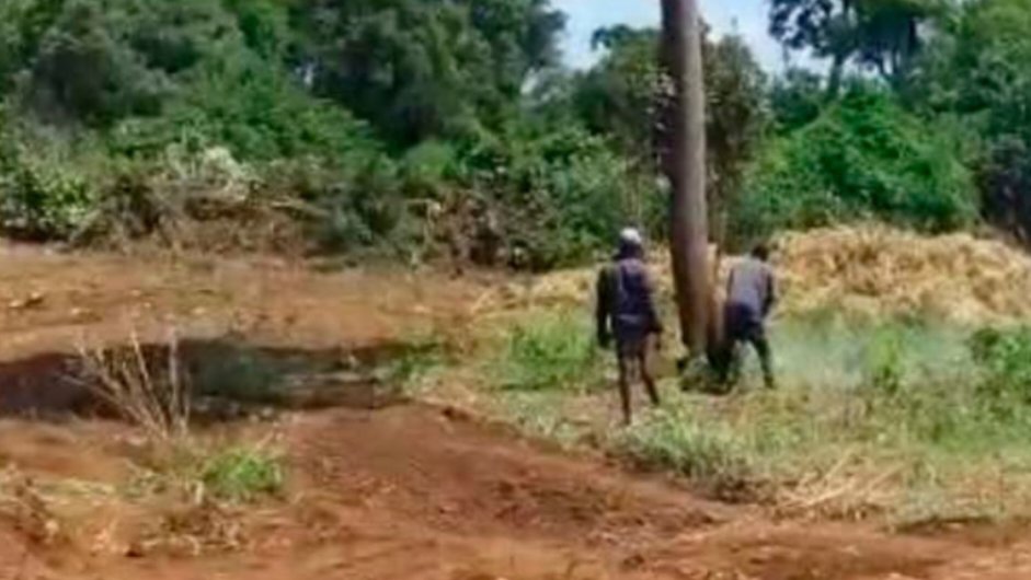 An view of the image 248900.png showing workers felling trees during clearing operations in a forested area of Meru County.