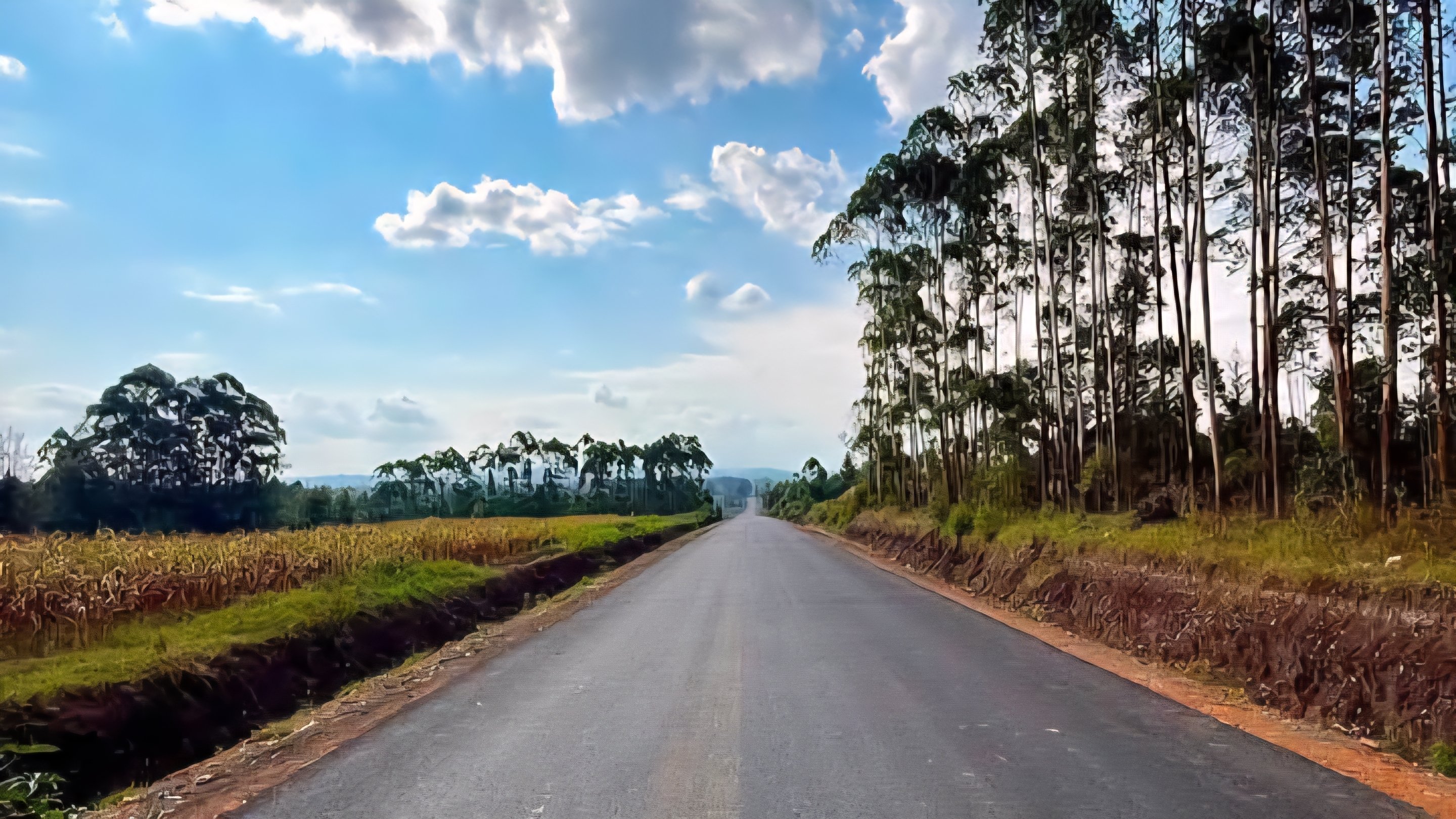 Why government teams are in Nyamira following new road update