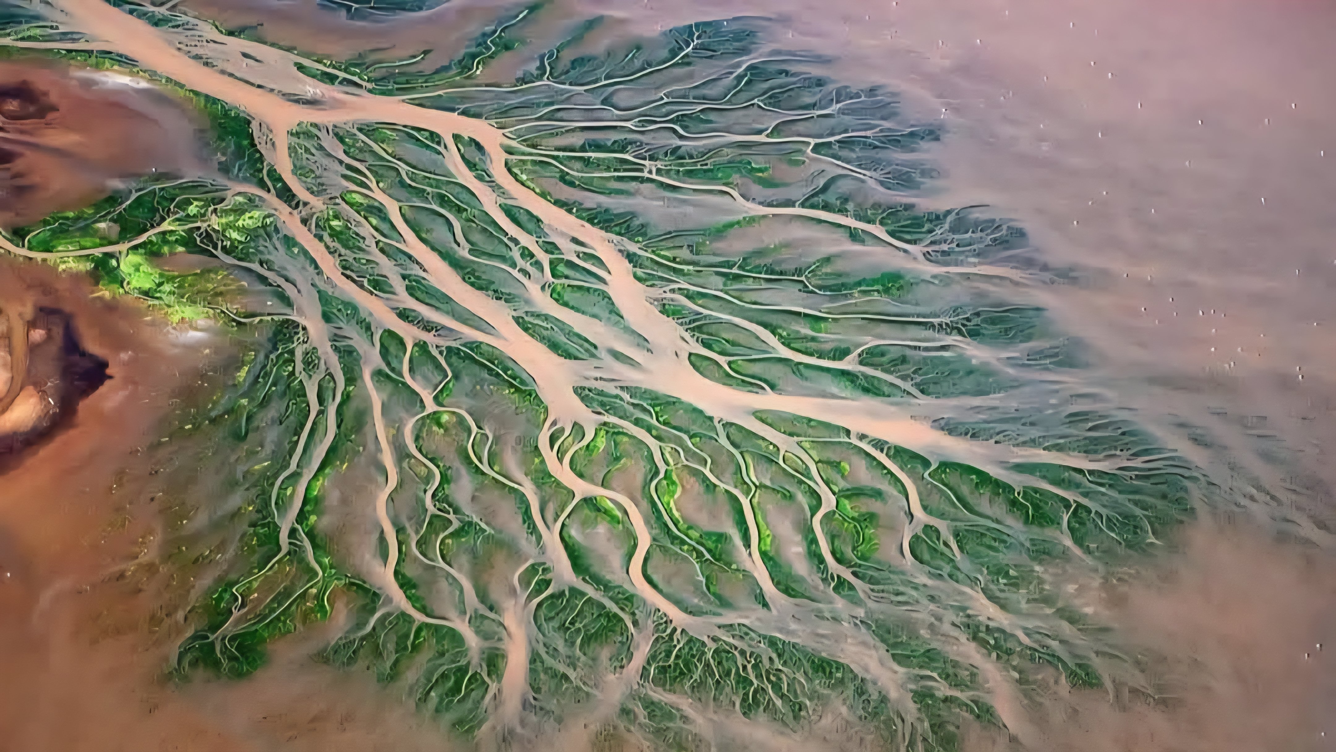 Aerial view of the braided channels of the Southern Ewaso Ng'iro River delta spreading into green, root-like wetlands.