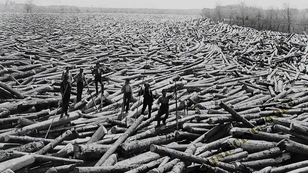 River drivers stand on a massive jam of logs during a timber drive on the Hudson River