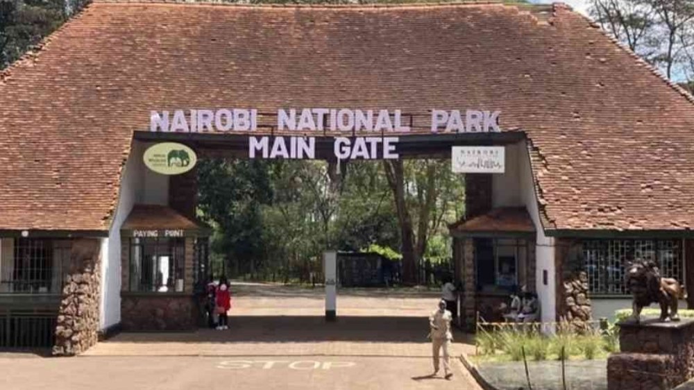 Nairobi National Park,