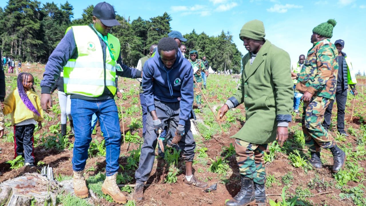 A photograph of Hillary Kiplagat Kibiwott planting a tree seedling in a designated reforestation area at Kessup Forest Station, surrounded by witnesses and environmental officials.