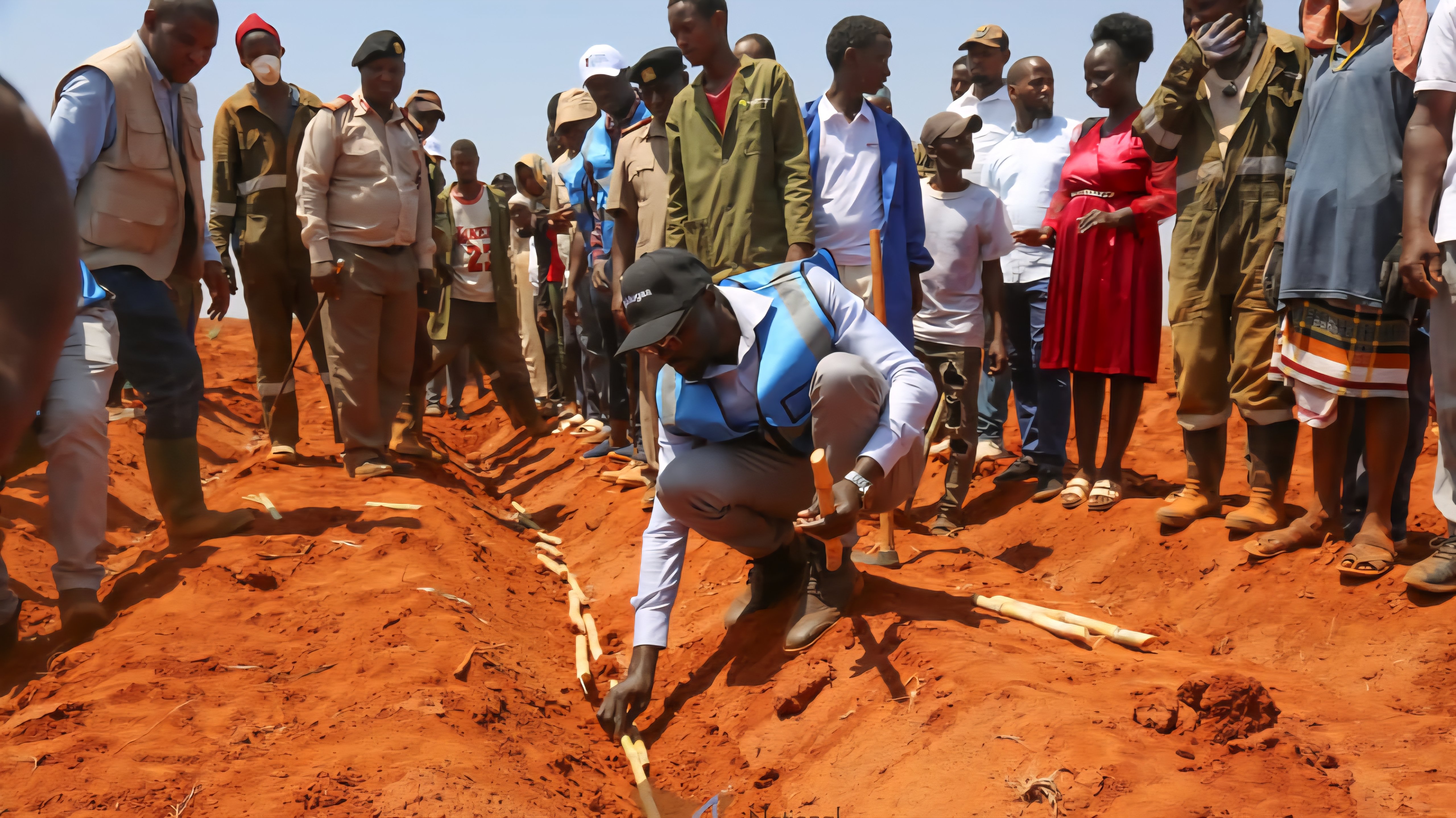 Agricultural workers and government officials inspecting sugarcane fields and seed cane planting at the Bura Irrigation Scheme in Tana River County.