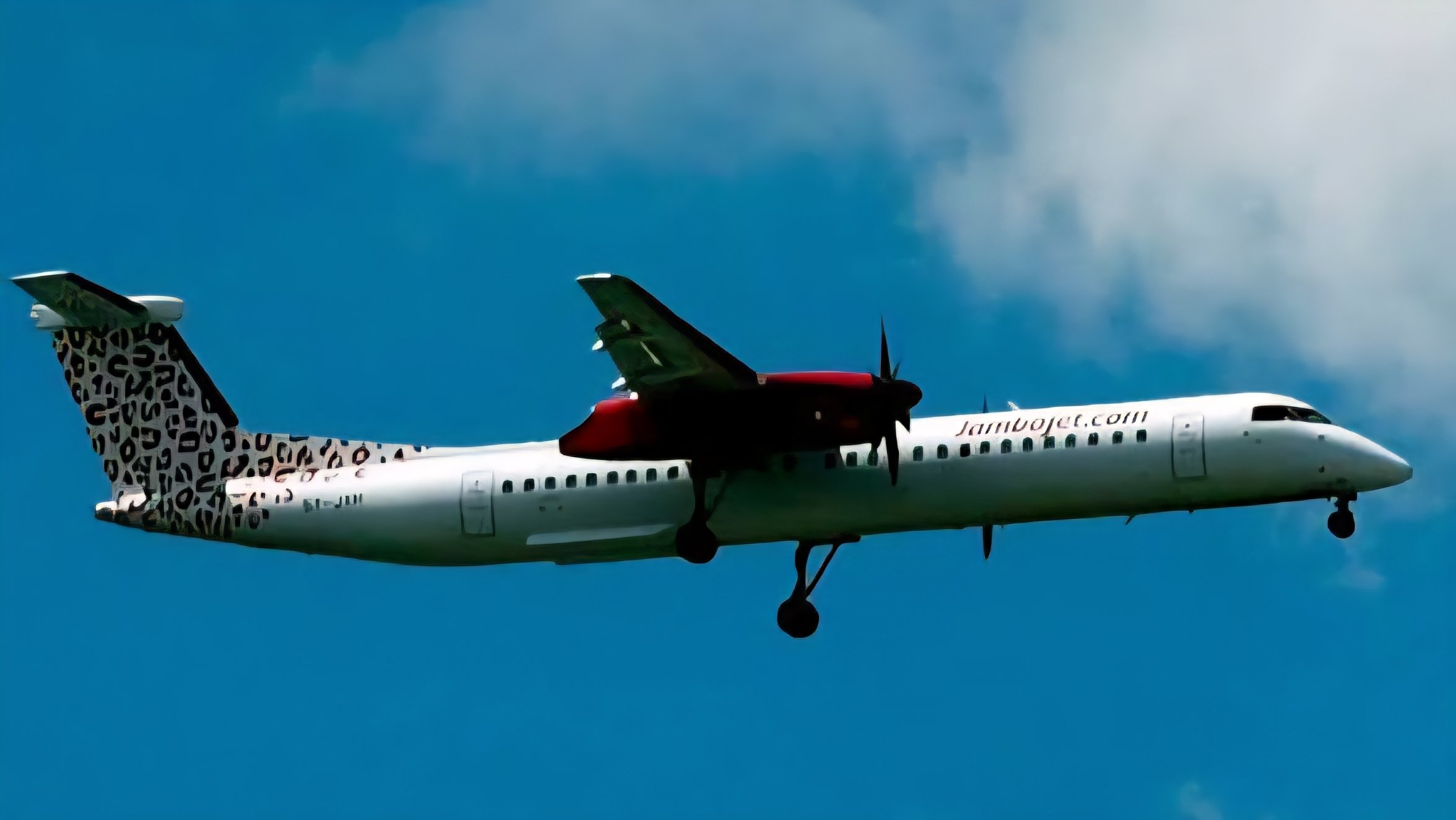 A Jambojet De Havilland Dash 8-400 aircraft in flight against a blue sky, showing its distinctive leopard-print tail design.