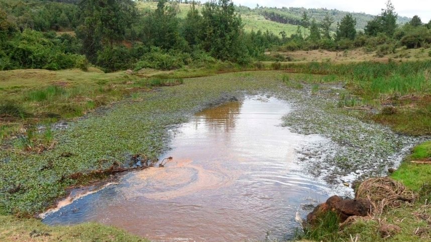 A section of the Talal River in Elgeyo-Marakwet County, in an area that could have been submerged by the earlier Kimwarer Dam project.