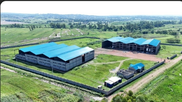 Construction works at the County Aggregation and Industrial Park at Riwa in Homa Bay County
