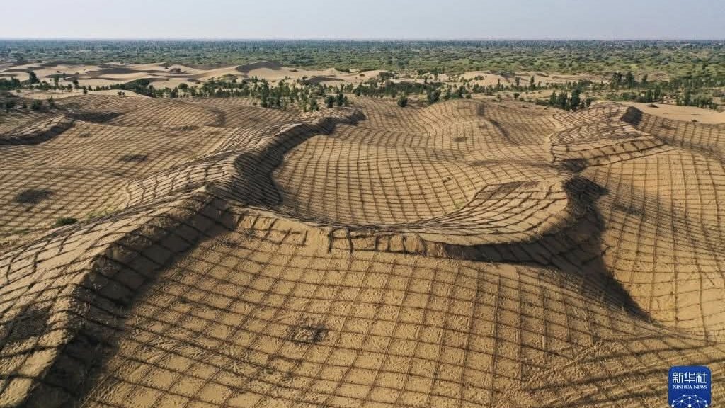 China's Green Great Wall Now Covers 500,000 Square Kilometers Of Former Desert