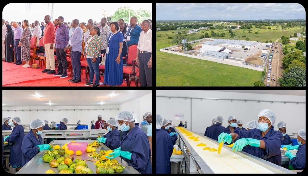 New Milly Fruits Processing Plant Opens in Kilifi to Boost Mango Value Addition