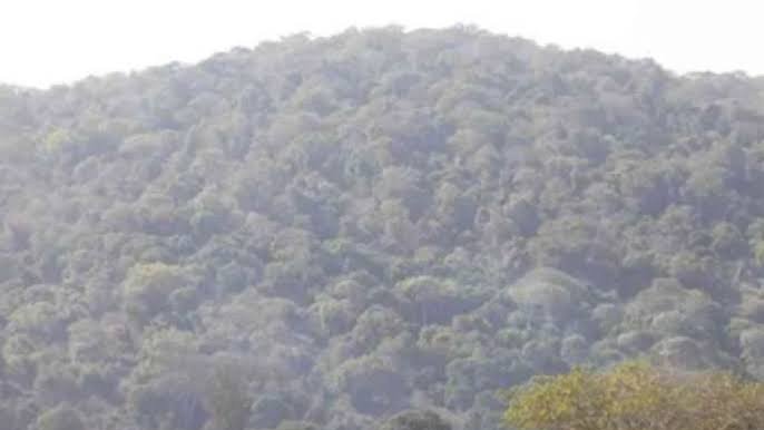 RareX and Iluka Advance in Kenyan Rare Earths Deal