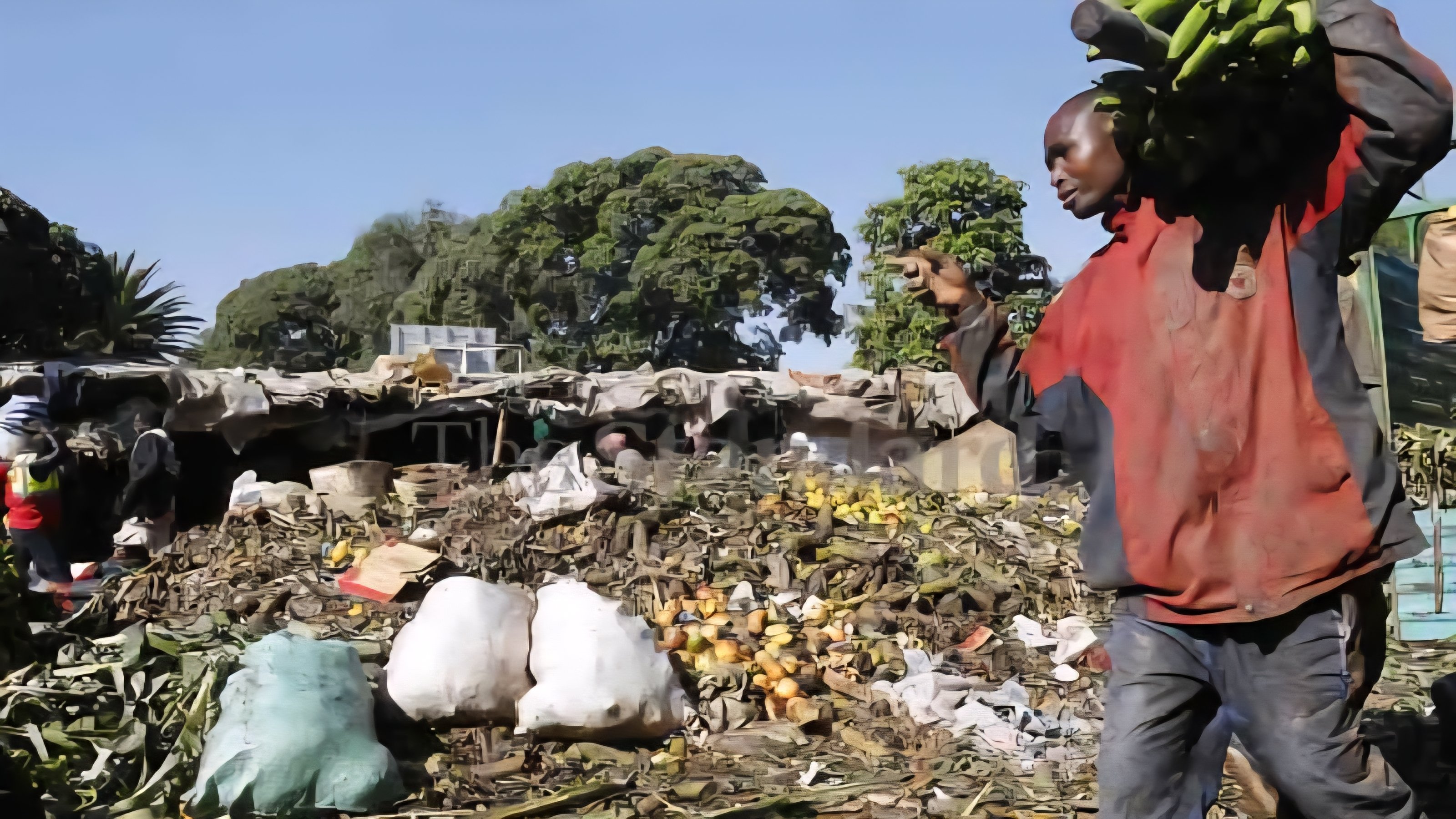 An overhead view shows a large pile of organic and household waste at an open-air market in Kenya.