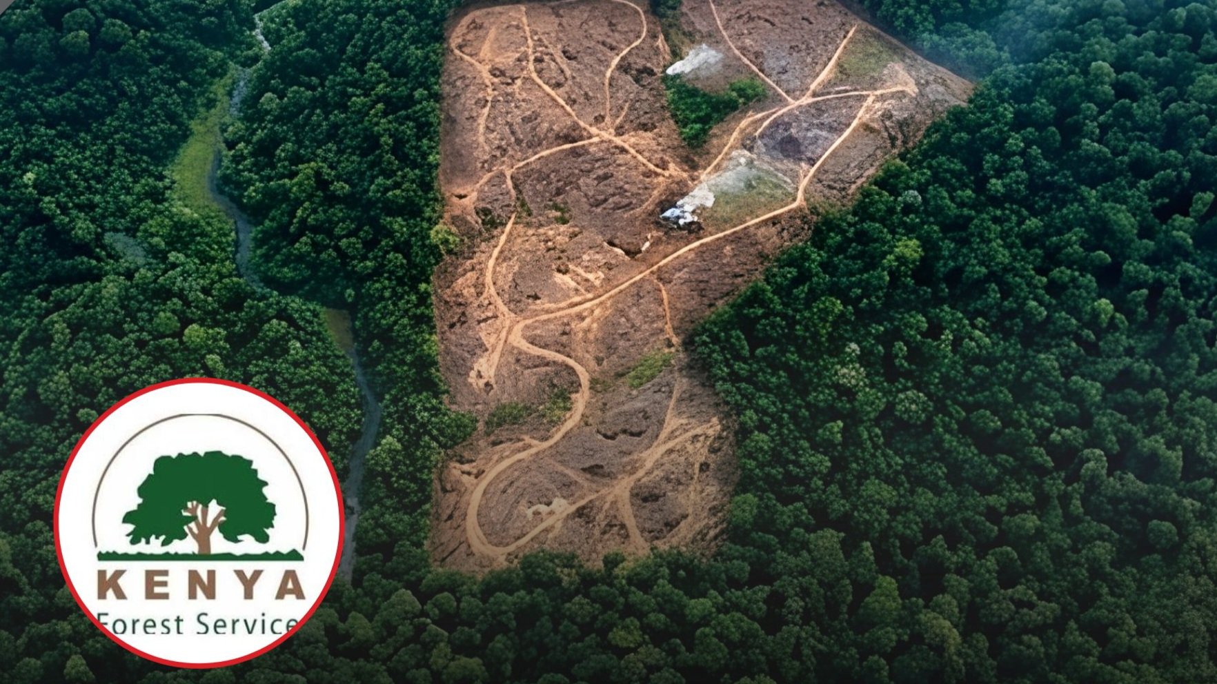 Aerial view of a cleared patch of land surrounded by dense green forest canopy inside Imenti Forest.