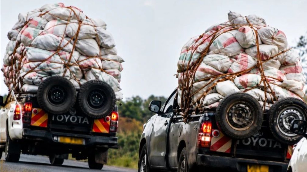 Kirinyaga residents demand action with the return of speeding miraa pickups