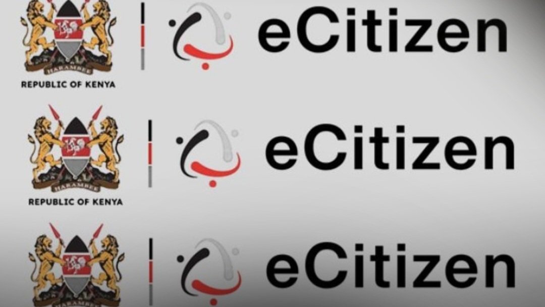 State Agencies Defy Digital Directive as Thousands of Services Remain Off e-Citizen
