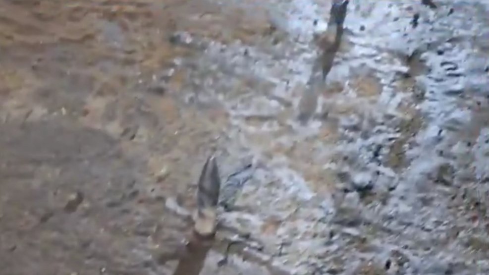 Mixed Reactions as Bungoma County Installs Road Spikes to Stop Illegal U-Turns