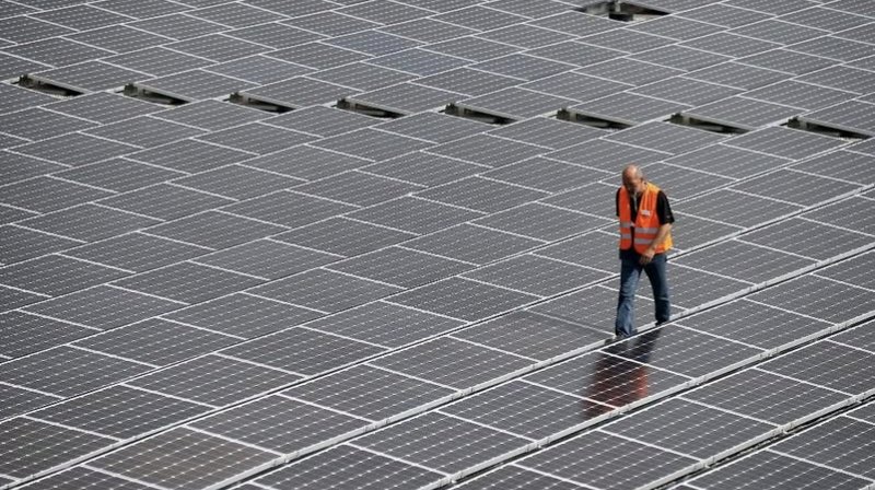 Rows of solar panels installed across open farmland in Portugal's Alentejo region.