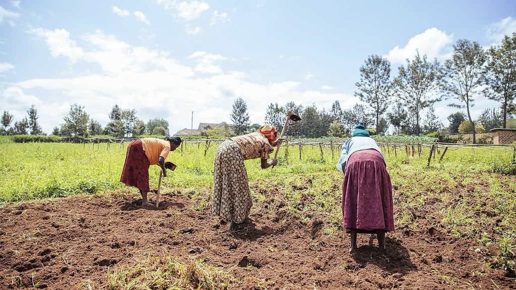 Kenya Launches $264 Million Climate Resilience Program For Western Counties