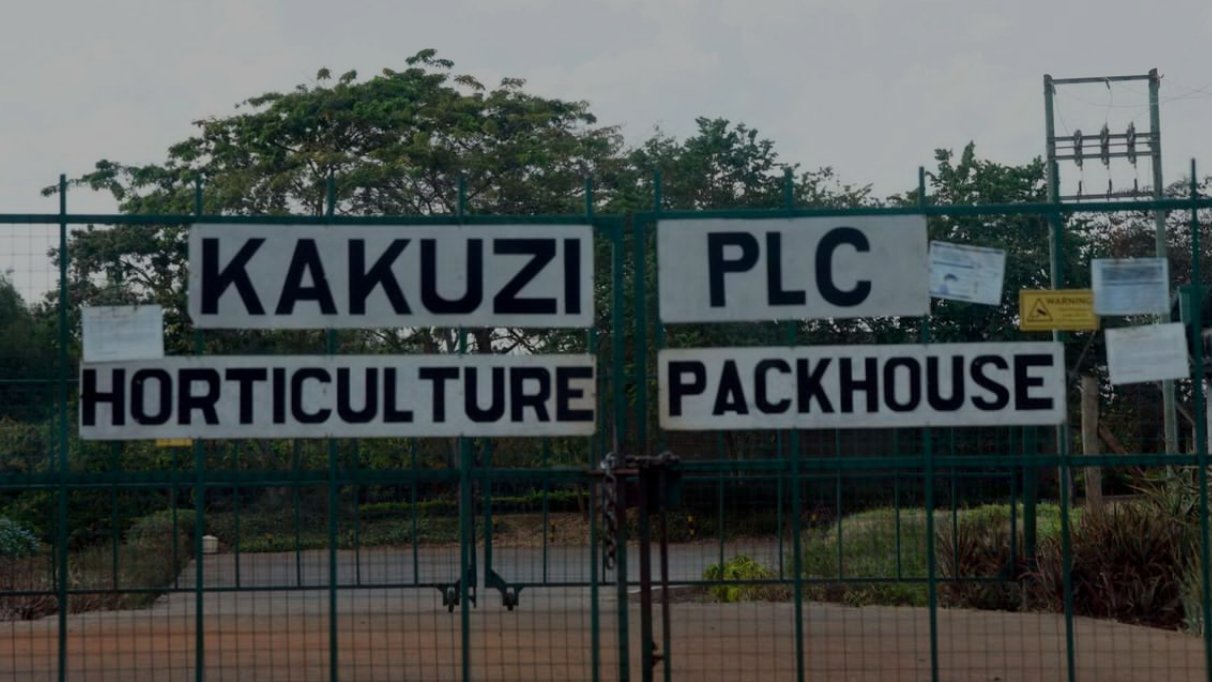 Signage reading Kakuzi PLC Horticulture Packhouse on a green metal gate surrounded by trees