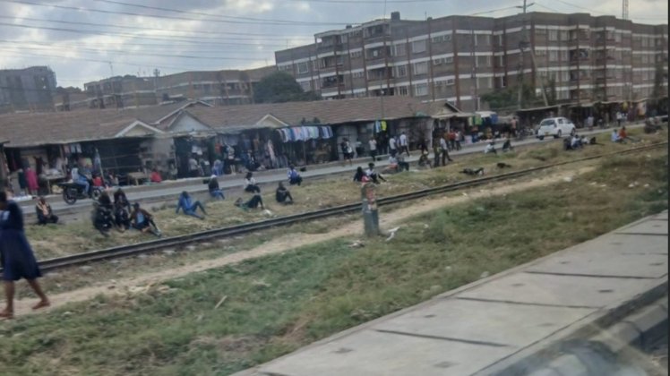 Nairobi Estates Face Shortage of Green Spaces and Parks