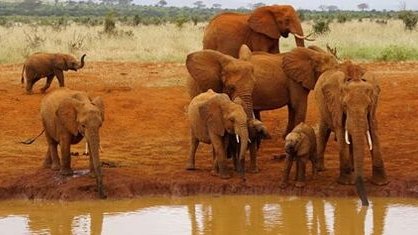 Athi Dam: NEMA Seeks Public Views on Mega Dam Planned Inside Tsavo East National Park