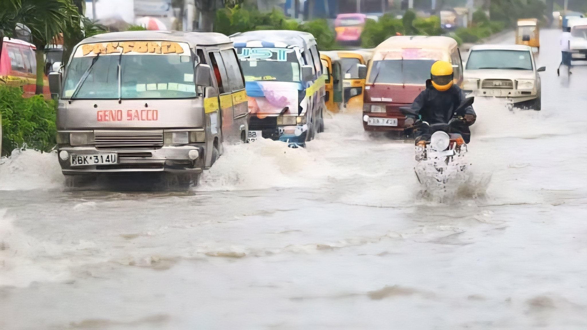Elevated Flood Risk Outlook as Super El Niño Probability Hits 81%
