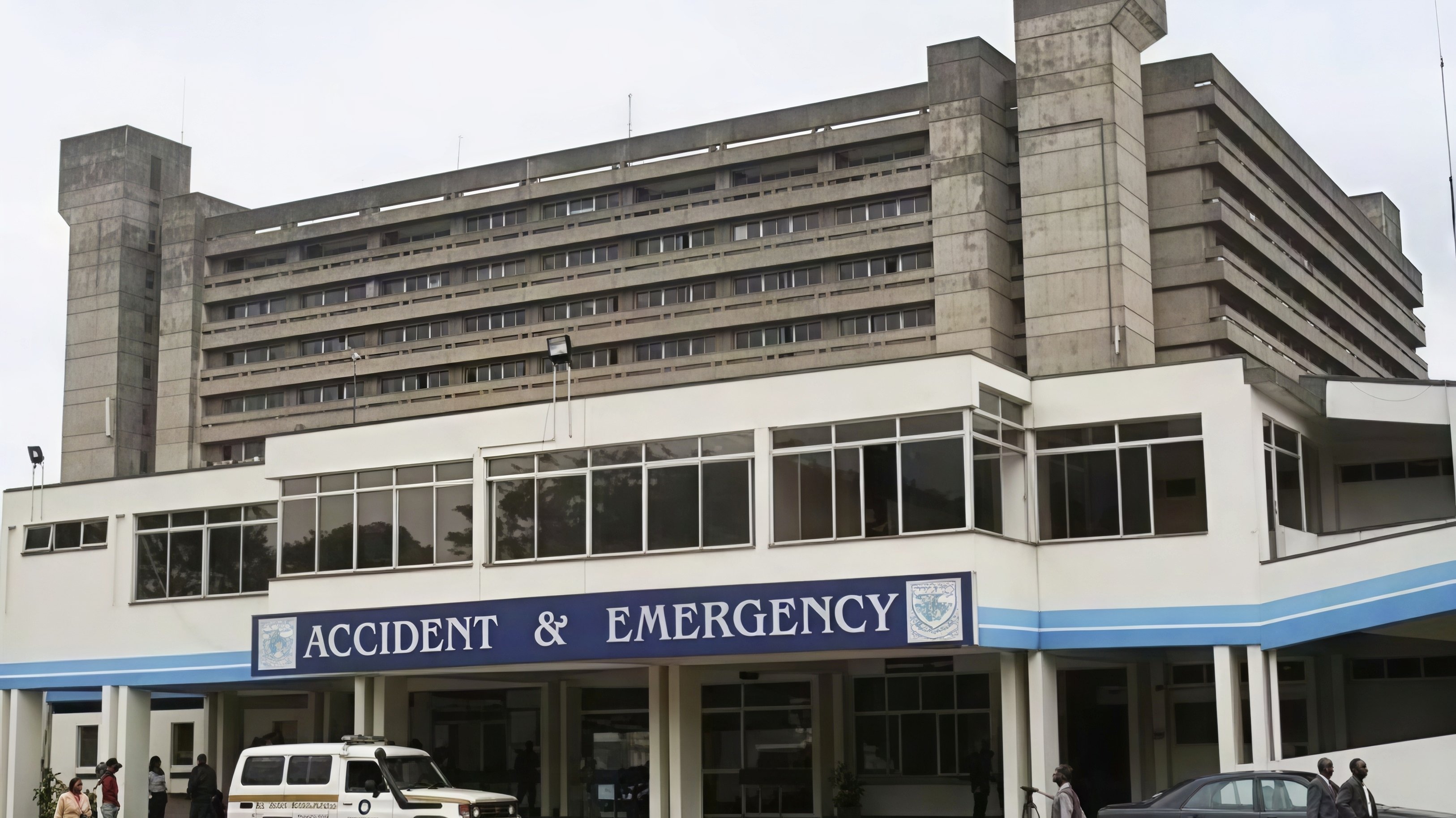 KNH Defends Removing Decayed Trees After Marabou Stork Backlash
