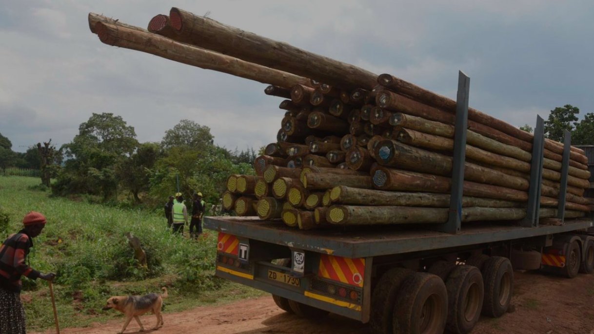 Flatbed truck carrying wooden utility poles along a rural dirt road in Kenya.