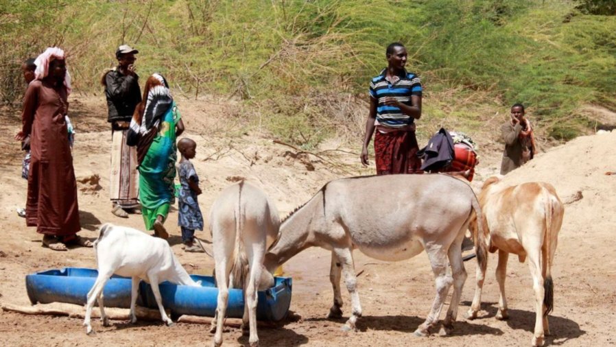 People and livestock gathered near a dry riverbed in Tana River County, Kenya.