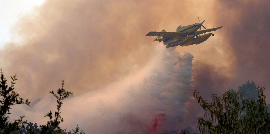 How a Wet Winter Helped Fuel Europe's Devastating Wildfires